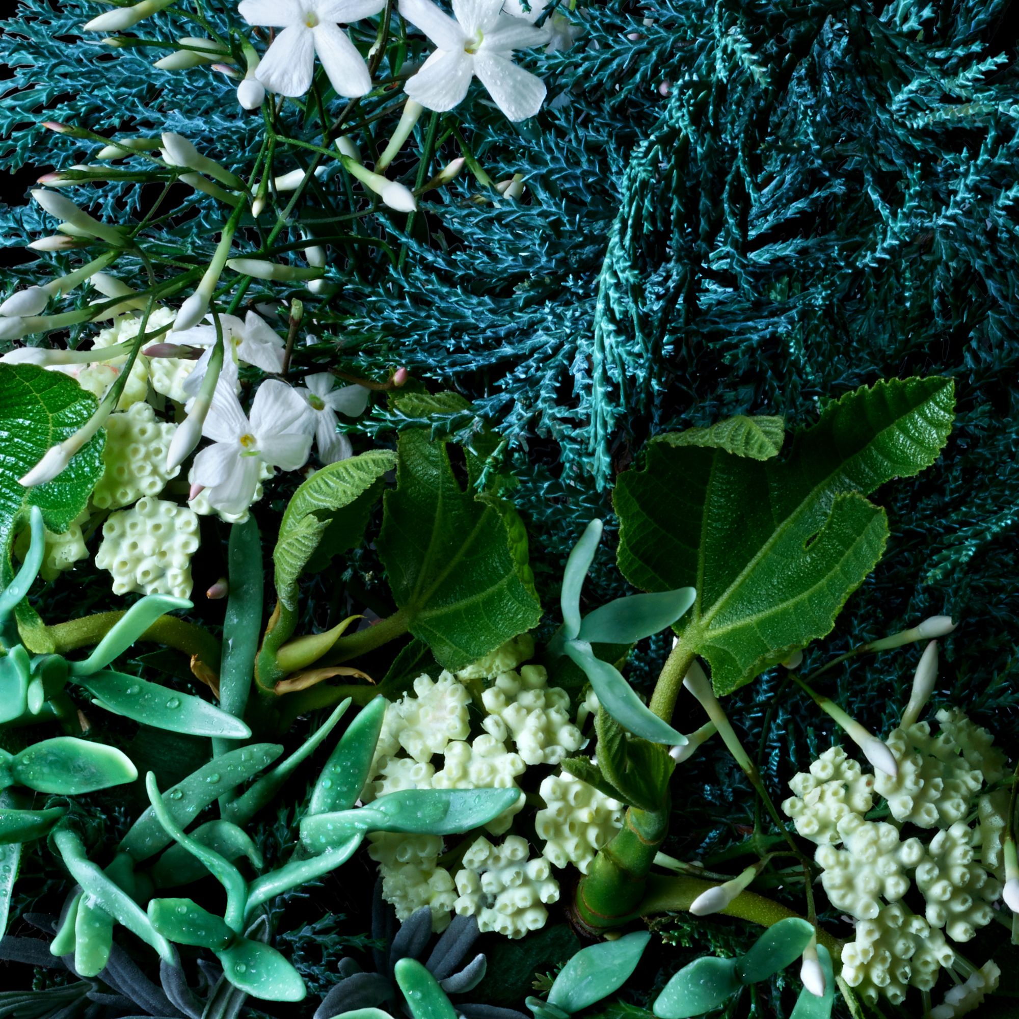 Bath Salt Sea Fennel 